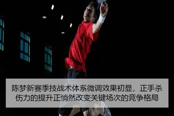 chen-meng-xin-sai-ji-ji-zhan-shu-ti-xi-wei-diao-xiao-guo-chu-xian-zheng-shou-sha-shang-li-de-ti-sheng-zheng-qiao-ran-2-929.jpg